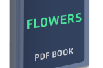 Flowers Symbols PDF Booklet
