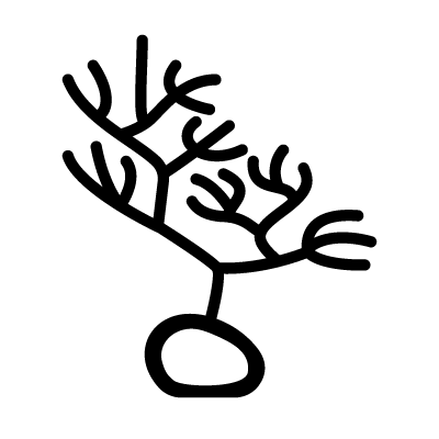 Phytomorphic glyphs Nazca lines