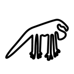 The Iguana Nazca lines