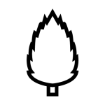 cypress tree Persian symbol