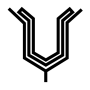 tulip Persian symbol